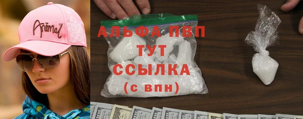 ГАЛЛЮЦИНОГЕННЫЕ ГРИБЫ Бородино