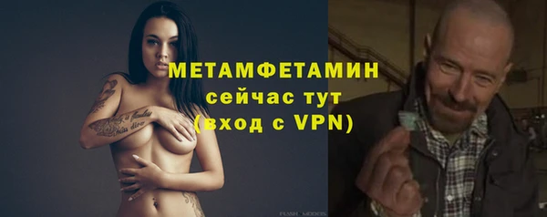 ГАЛЛЮЦИНОГЕННЫЕ ГРИБЫ Бородино