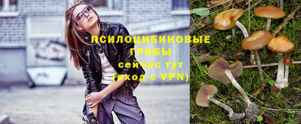 MESCALINE Новодвинск