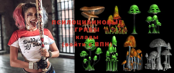 ГАЛЛЮЦИНОГЕННЫЕ ГРИБЫ Бородино