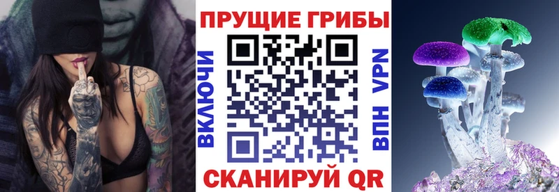 где купить Кирсанов Галлюциногенные грибы Psilocybe